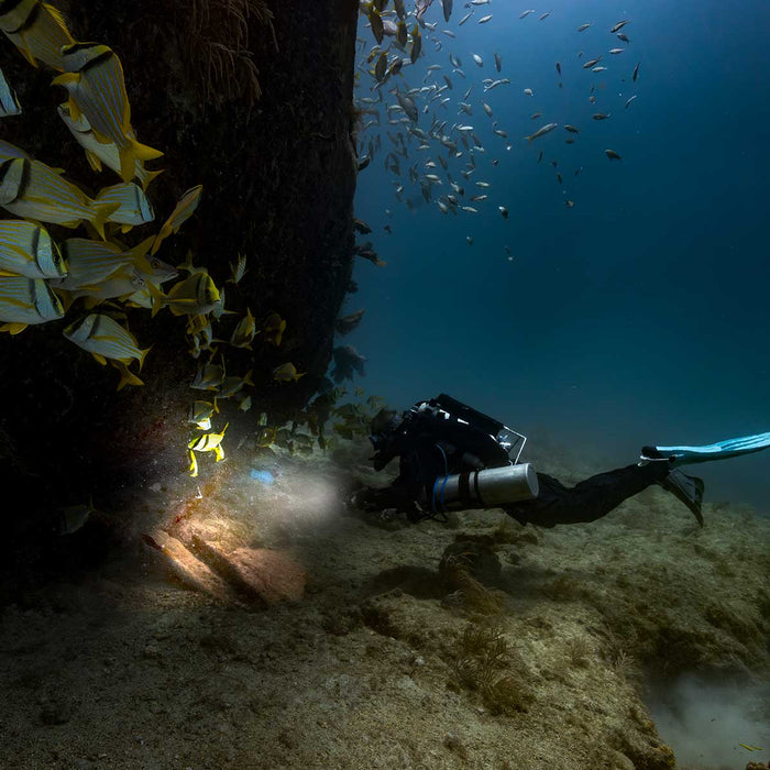 Garmin Descent X50i Premium Dive Computer