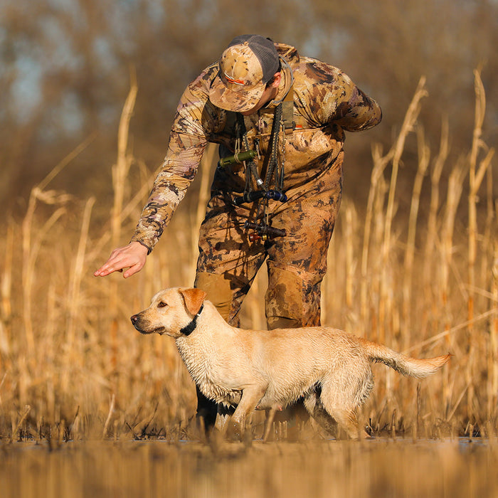 Garmin Delta SE Dog Training System